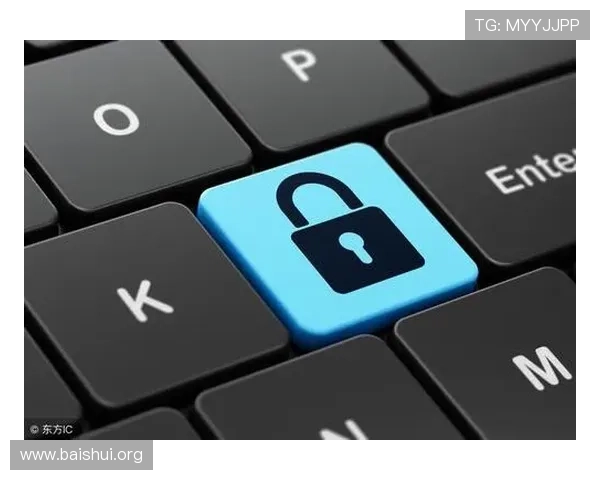 亚星公司官网安全保障措施与用户隐私保护政策全面解析